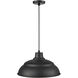 R Series 1 Light 17 inch Satin Black Indoor Pendant Ceiling Light